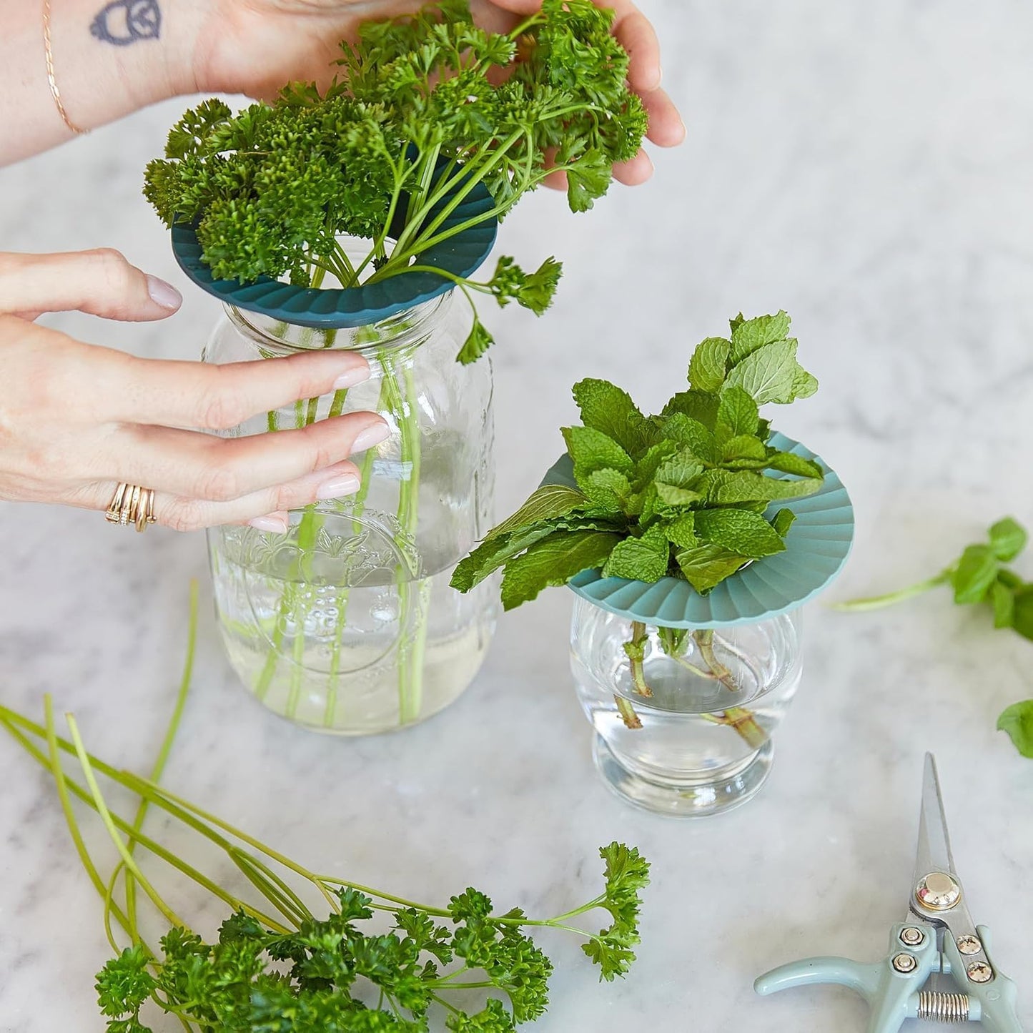 Modern Sprout Eco-Friendly Produce Keeper for Fresh Herbs & Greens - 2 Pack | BPA-Free, Sustainable Materials - Extends Freshness Up to 2 Weeks - Gift for Plant Lovers and Home Chefs