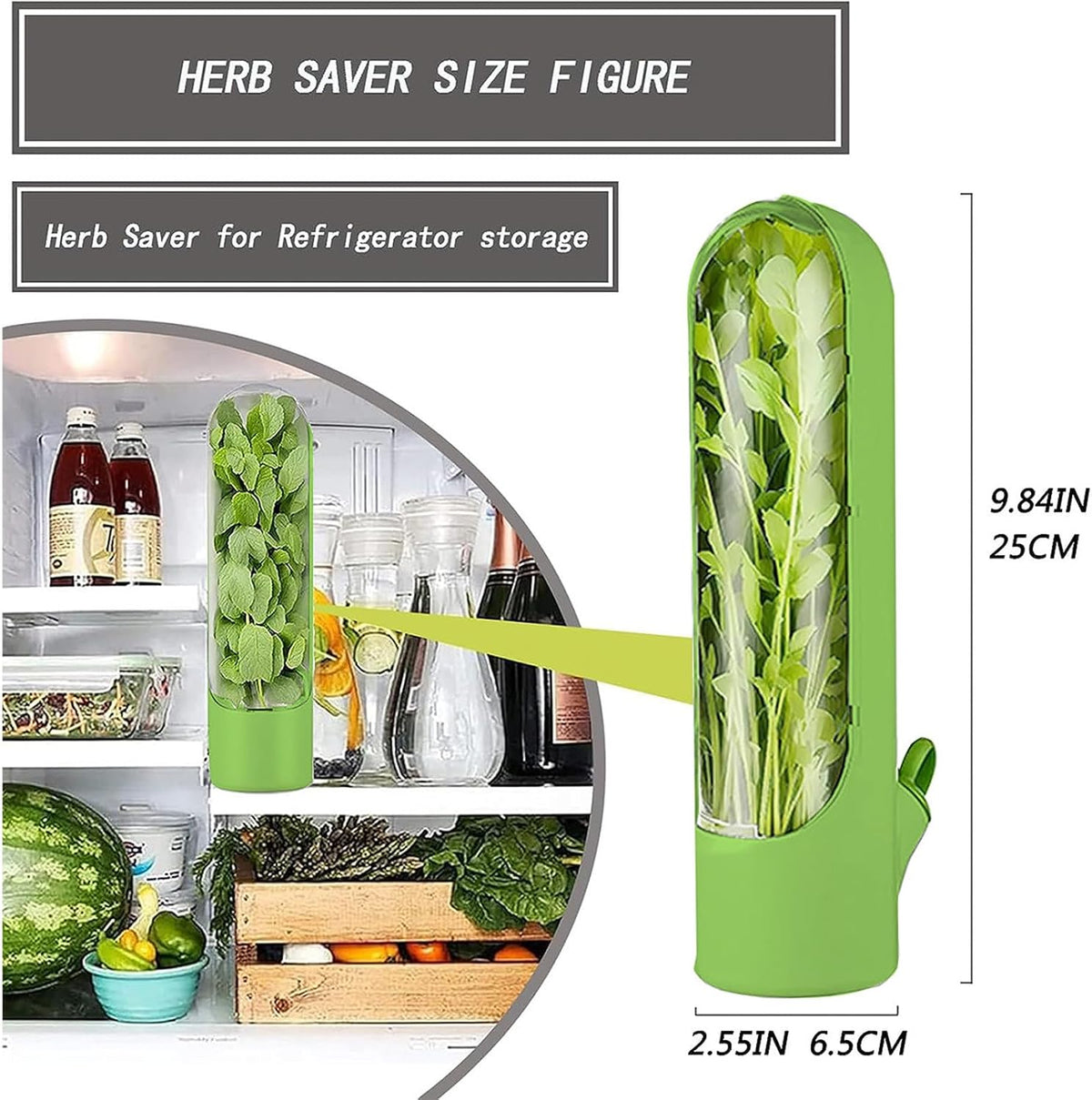 Herb Keeper for Refrigerator, Herb Saver for Refrigerator, Vegetable Preservation Bottle for Cilantro, Mint, Parsley, Asparagus, Keeps Greens Fresh for 2-3 Weeks (Green)
