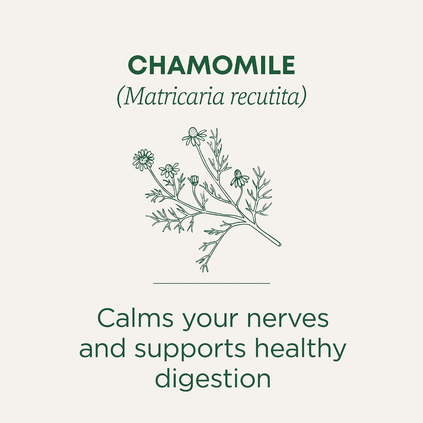 Traditional Medicinals Organic, Chamomile Tea - Supports Stress Relief and Relaxation - Kosher, Non-GMO, Caffeine-Free, Compostable - 16 Tea Bags