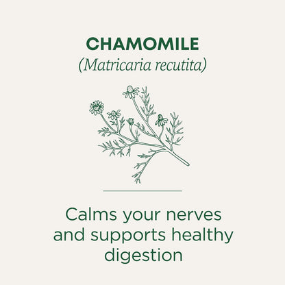 Traditional Medicinals Organic, Chamomile Tea - Supports Stress Relief and Relaxation - Kosher, Non-GMO, Caffeine-Free, Compostable - 16 Tea Bags