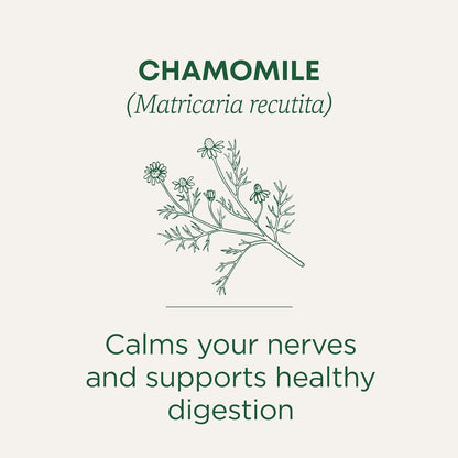 Traditional Medicinals Organic, Chamomile Tea - Supports Stress Relief and Relaxation - Kosher, Non-GMO, Caffeine-Free, Compostable - 16 Tea Bags