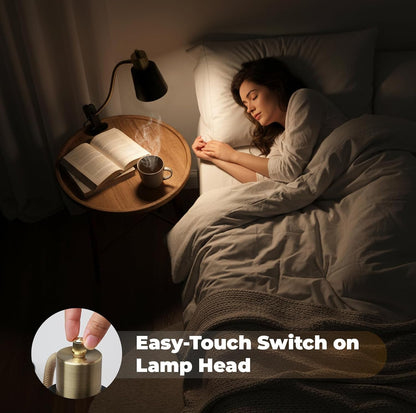 LALISU Desk lamp Eye-Caring Table Lamps, 360°Rotation Gooseneck Clip Lamp