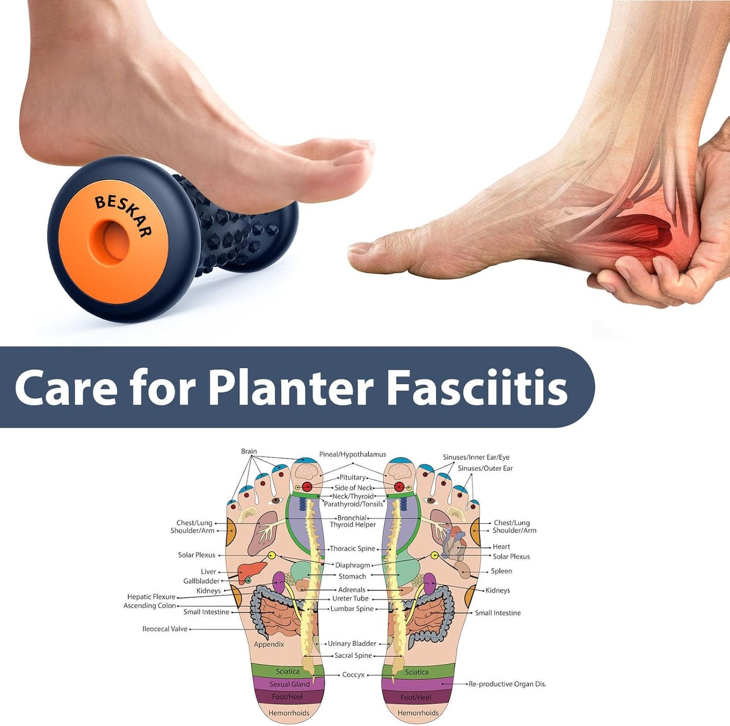 BESKAR Foot Massage Roller for Plantar Fasciitis Relief | Pressure Point and Deep Tissue Massages, Relieving Feet Arch Heel Pain, Myofascial Pain Syndrome, Portable Reflexology Tool