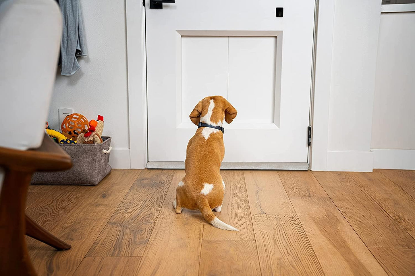 BKSAI Door Draft Stopper for Doors 29-35" No Adhesive Draft Stopper for Bottom of Door Draught Excluder Under Door Wind Blocker Reduce Noise Draught Excluder Sweep Sound Proof(Black) | No Adhesive, For Bottom of Door, Wind Blocker, Reduce Noise, Sound