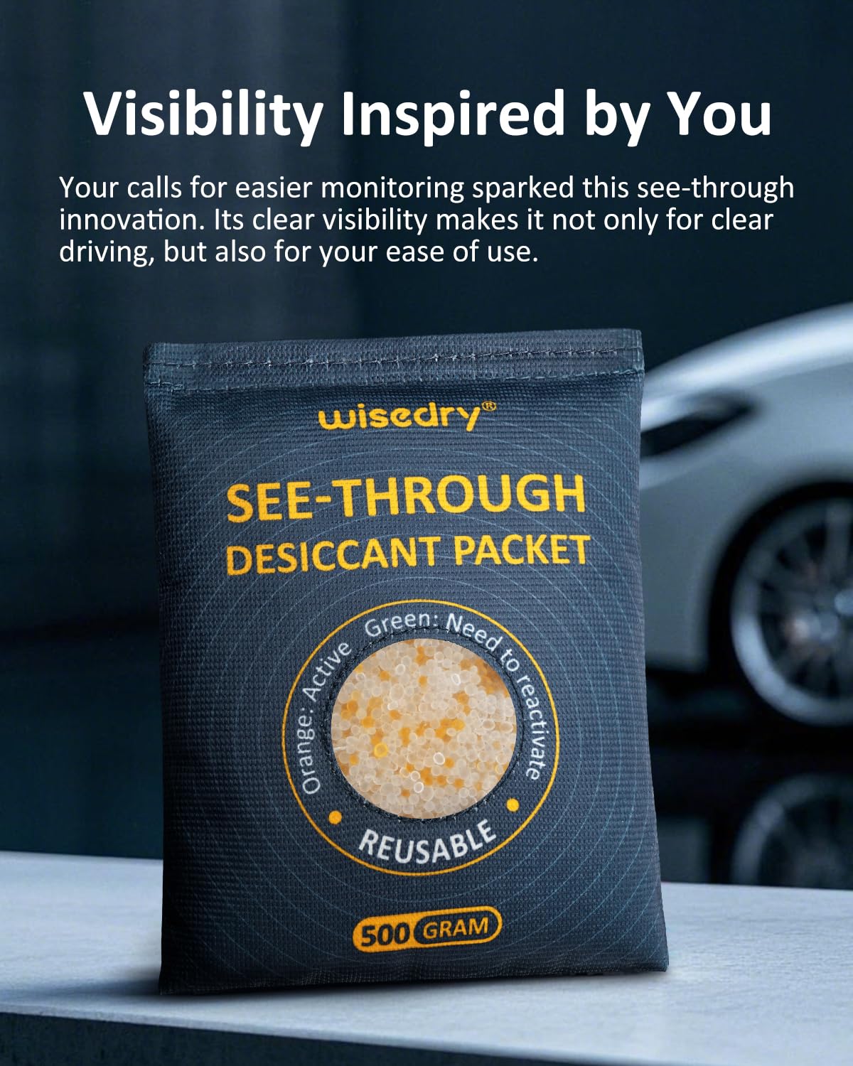 wisedry 2 x 500 Gram [2.2 lbs] Rechargeable Silica Gel Car Dehumidifier, Microwave Fast Reactivated Desiccant Packets Large for Gun Safe Closet Basement Garage Storage Moisture Absorber Bag Reusable