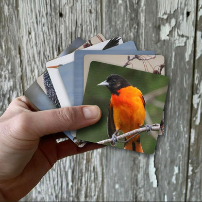 (ho-dee-ay) Birds - Dementia Activity Developed by Caregivers - a Great Gift for Seniors - Simple and Engaging Photo Cards