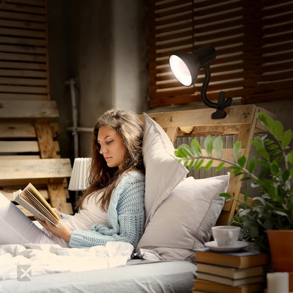 Xtricity LED Clip on Desk Lamp with 360° Flexible Gooseneck, White Finish