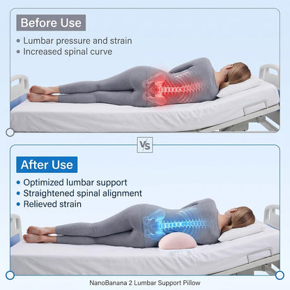 Lumbar Support Pillow for Sleeping,Premium Memory Foam Lower Back Pain Relief Bed Rest Support Pillows for Car Bed,Couch,Waist Support Care Cushion,Sleep Lumbar Pillow (Black Grey)