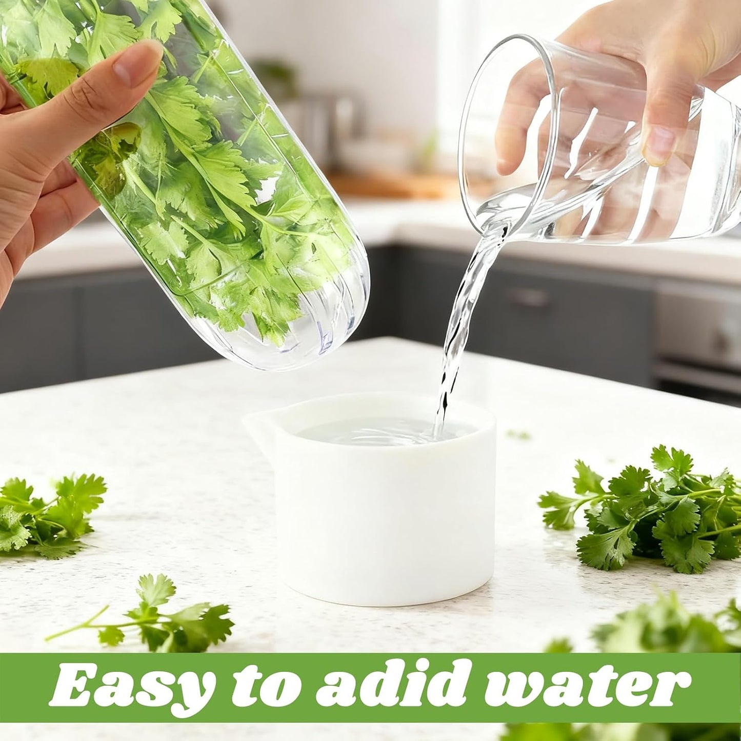 2 Pack Herb Keeper for Refrigerator, Vertical Herb Keeper for Fridge with Scissors, Vegetable Preservation Container for Cilantro, Parsley, Mint&Asparagus, Extends Freshness for 2-3 Weeks