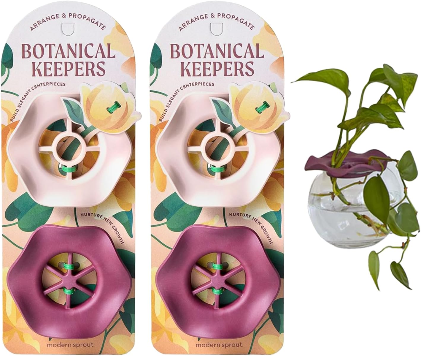 Modern Sprout Eco-Friendly Produce Keeper for Fresh Herbs & Greens - 2 Pack | BPA-Free, Sustainable Materials - Extends Freshness Up to 2 Weeks - Gift for Plant Lovers and Home Chefs