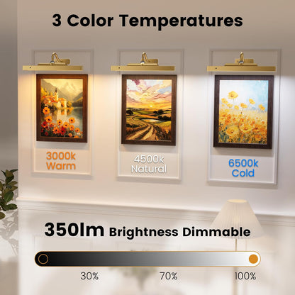 Picture Light for Wall, 12" Rechargeable Wireless Battery Operated Painting Lighting, Dimmable LED with Remote 3CCT for Wall Art Gallery Display (Black)