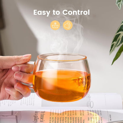 PARACITY Tea Cup with Infuser and Lid, 13 oz Glass Tea Infuser Mug | 13 oz Tea Cup with Lid Glass Tea Infuser Mug Fine-Mesh Strainer Borosilicate Glass Dishwasher Compatible
