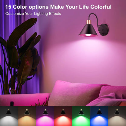 Frideko Rechargeable Wall Sconces Set of Two with Remote, RGB 15 Colors Dimmable Battery Operated Wall Lights for Living Room Bedroom, Indoor Black Wall Lamp with Timer Wireless