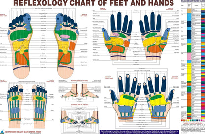 BOSKY Handmade Wooden Ancient Acupressure Spiked Hand Massage Exercise Therapy Deep Tissue Set of 2 Pcs, Spiky Ball and Rings with Reflexology Chart (AS-2)