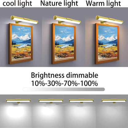 MIOBLUE Rechargeable Picture Lights with Remote,Full Metal Painting Light Display LED Battery Lamp with 3 Lighting Modes, Dimmable Dartboard Light with Timer for Frame Portrait Art