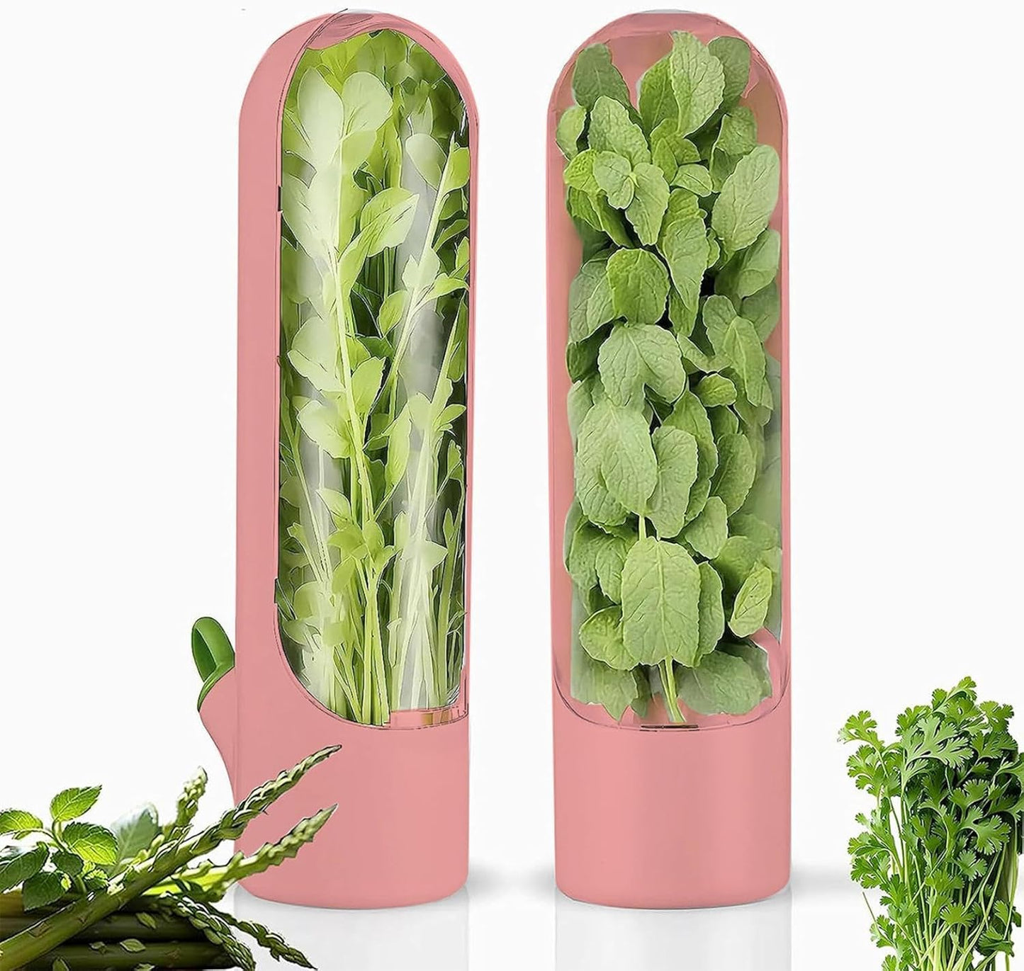 Herbsaver for Refrigerator - Vegetable Freshness Storage Containers, Herbkeeper Pod with Adjustable Humidity Control, Cilantro,Parsley, Asparagus, Keeps Vegetables Fresh for 2-3 Week (Pink)