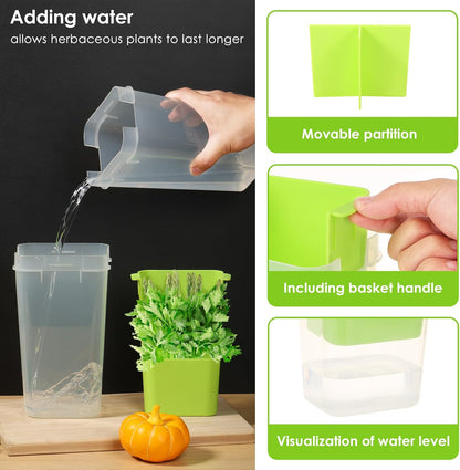 Fresh Herb Keeper for Refrigerator, 5.1x4.1x 9.06 in Clear Herb Saver, Fridge Asparagus Container, Fresh Herb Saver, Herb Storage Containers, for Cilantro, Parsley, Thyme, Asparagus(Green)