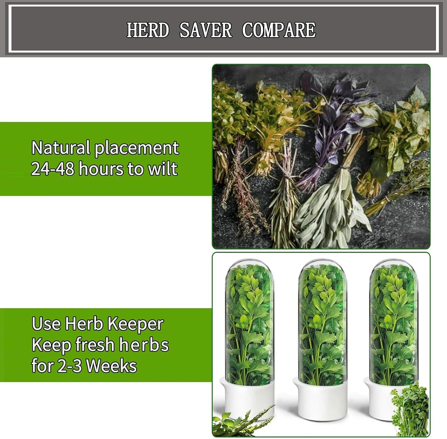 Herb Saver for Refrigerator, Cilantro Container for Fridge, Fresh Herbs Lettuce Keeper for Refrigerator Parsley Mint Leaves Fresh Herb Keeper, Refrigerato Storage for Fresh for 2-3 Weeks