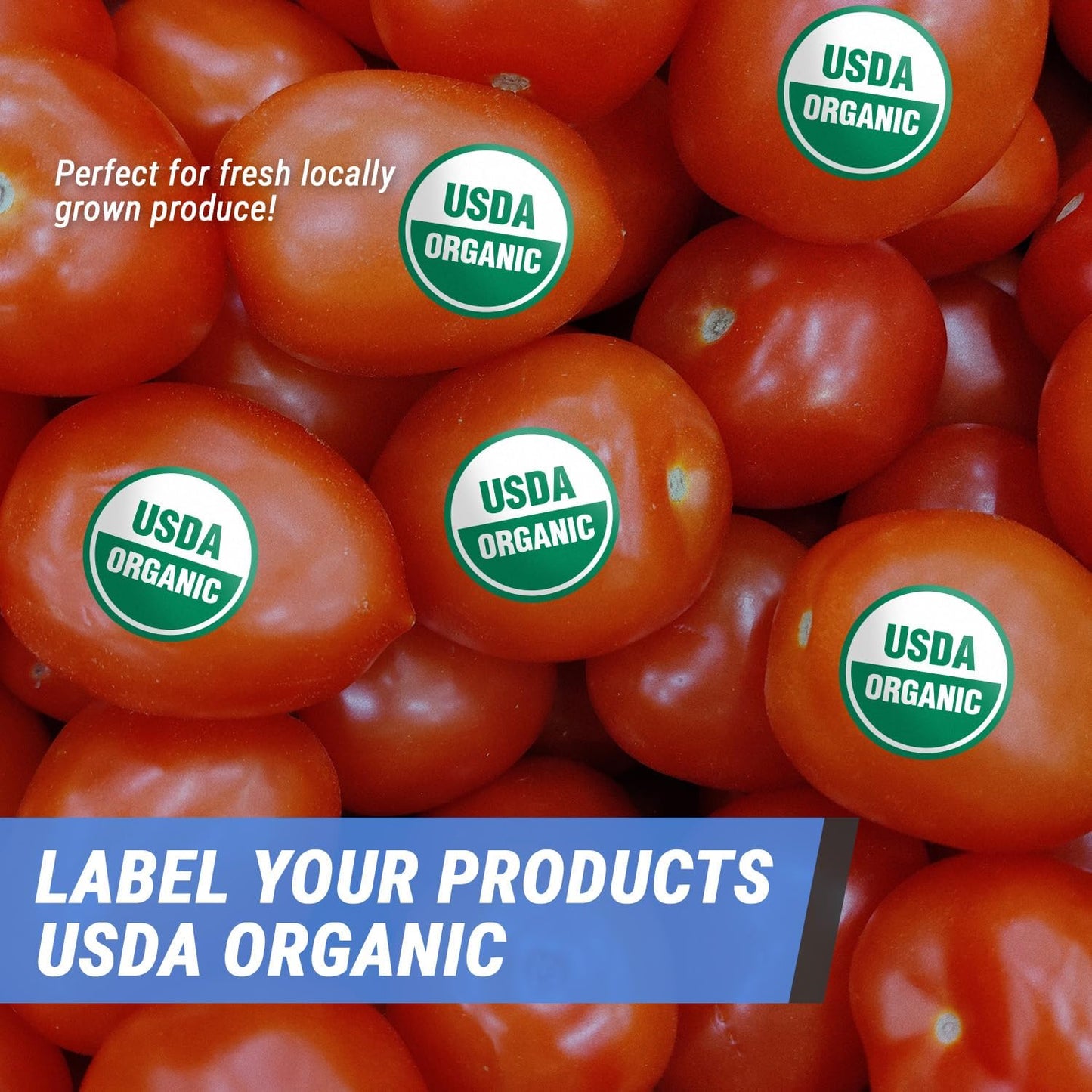Dairy Free Food Labels Stickers - 1.5" Round Food Allergy Warning Meal Choice Label Stickers for Restaurant Deli Grocery Store Food Packaging, Strong Adhesive & Easy Peel (300 Labels on Sheet)