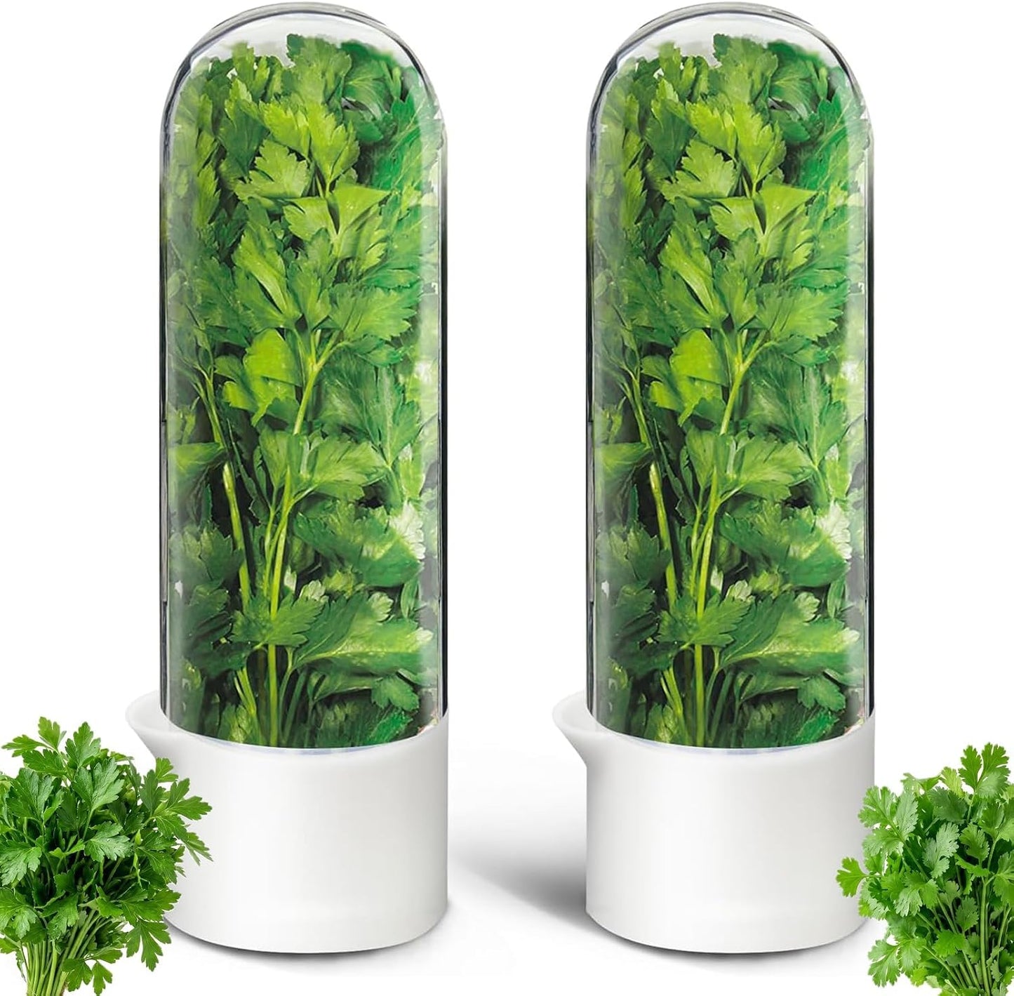 Herb Saver, Herb Keeper for Refrigerator, Cilantro Container for Fridge, Hard Shell Fresh Herb Storage for Asparagus, Parsley, Mint, Rosemary, Keeps Greens Fresh for 2-3 Weeks (3PCS)