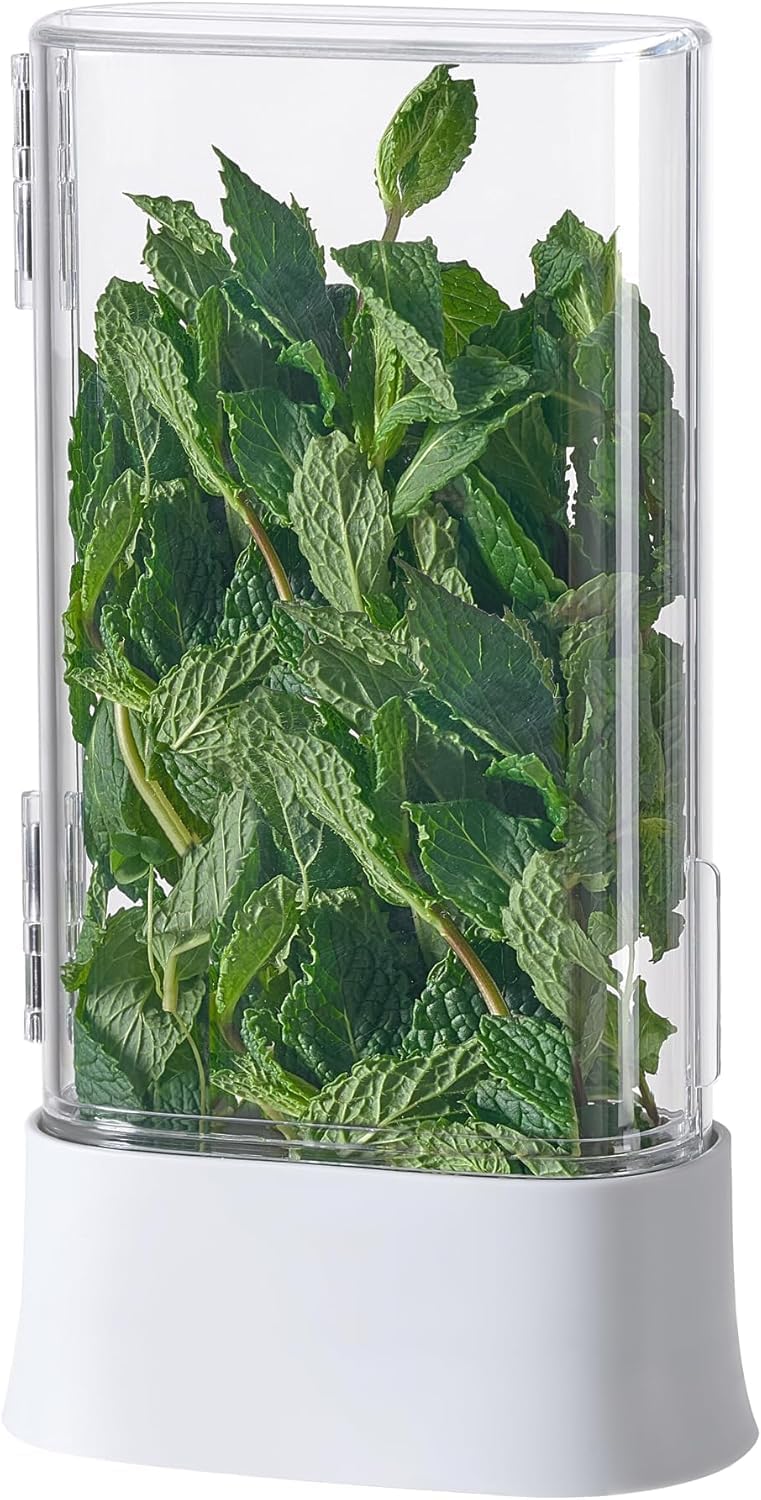 Green Saver Herb Keeper – Refrigerator Storage Container for Cilantro, Asparagus, Fresh Herbs, Dishwasher Safe, Extends Freshness 10 Days – 2 Pack