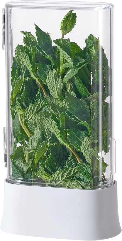Green Saver Herb Keeper – Refrigerator Storage Container for Cilantro, Asparagus, Fresh Herbs, Dishwasher Safe, Extends Freshness 10 Days – 2 Pack