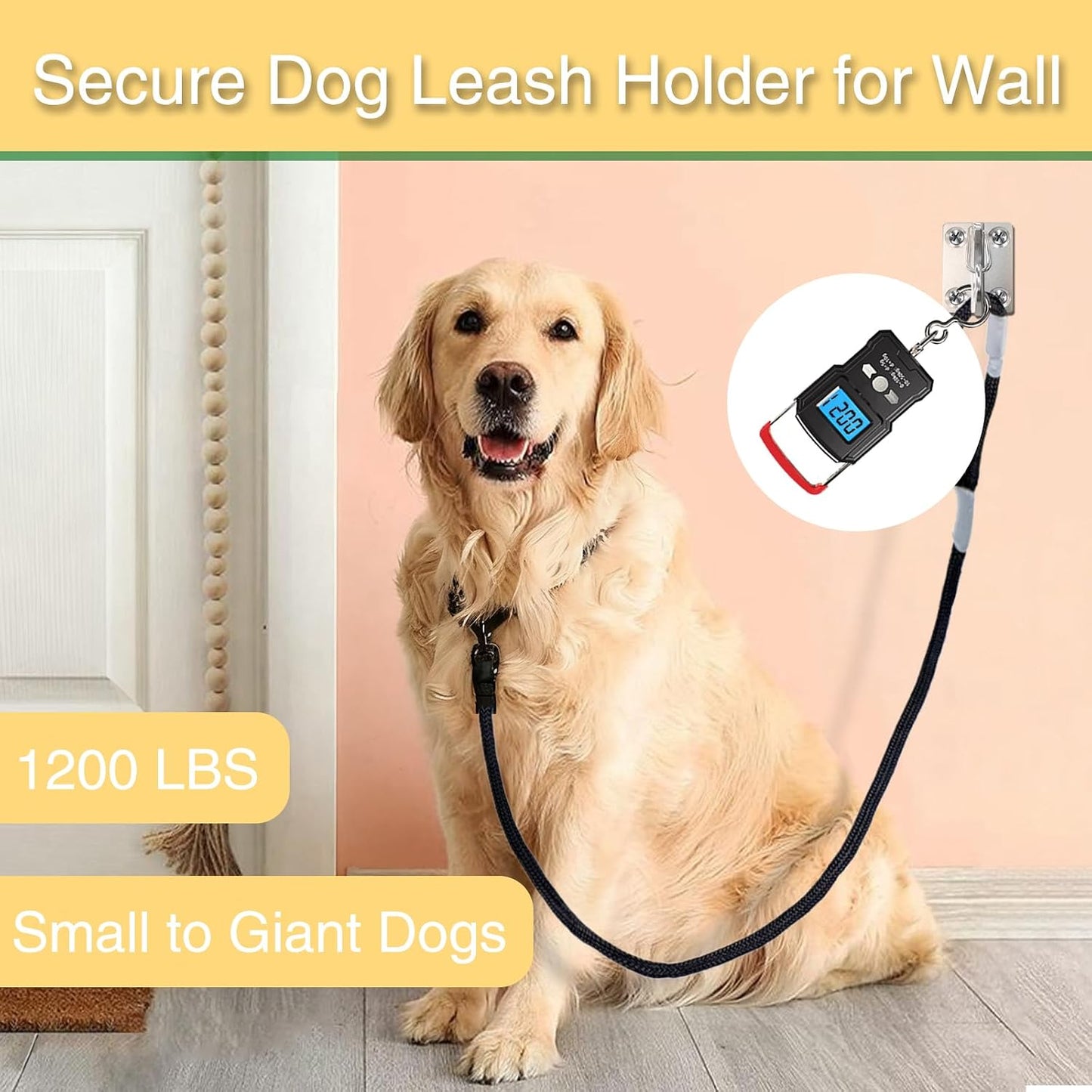 Dog Leash Holder for Wall, Stainless Steel Dog Leash Hook, Tie-Out | 304 Stainless Steel Hook, Enclosed Leash Hook, Mounting Screws Included, Yard Tie-Out Use, Indoor Outdoor Use for Dogs