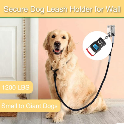 Dog Leash Holder for Wall, Stainless Steel Dog Leash Hook, Tie-Out | 304 Stainless Steel Hook, Enclosed Leash Hook, Mounting Screws Included, Yard Tie-Out Use, Indoor Outdoor Use for Dogs