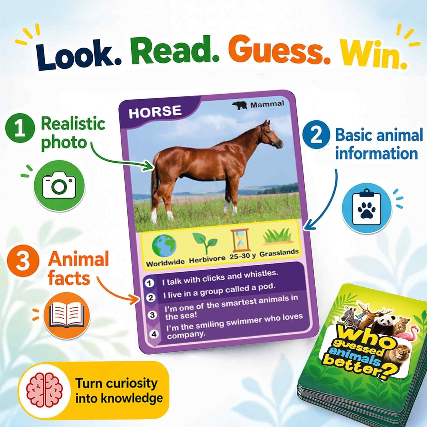 Quokka Who Guess It Better Countries – Educational Game with Visual Clues, Geography Learning Card Set, 50 Cards, Screen-Free Travel Game for Kids Ages 6+