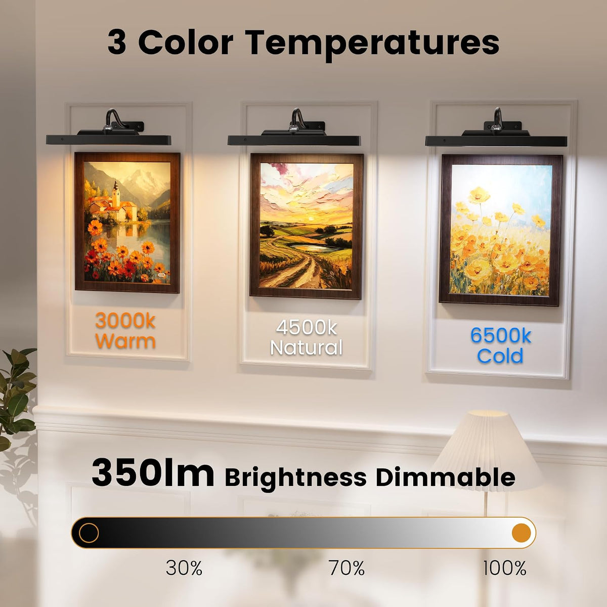 Picture Light for Wall, 12" Rechargeable Wireless Battery Operated Painting Lighting, Dimmable LED with Remote 3CCT for Wall Art Gallery Display (Black)