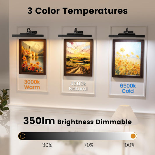 Picture Light for Wall, 12" Rechargeable Wireless Battery Operated Painting Lighting, Dimmable LED with Remote 3CCT for Wall Art Gallery Display (Black)