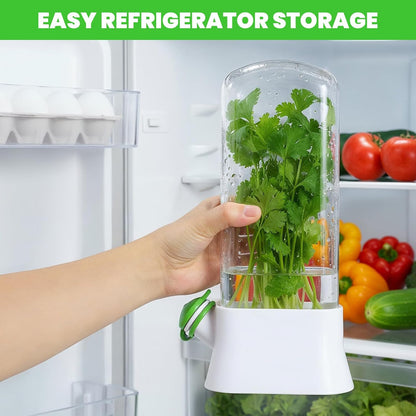 2 Pcs Refrigerator Fresh Green Keeper for Cilantro, Parsley, Asparagus – White Round Pod Container with Silicone Seal, 10.6 x 5.12 x 2.87 Inches, Keeps Greens Fresh Up to 3 Weeks