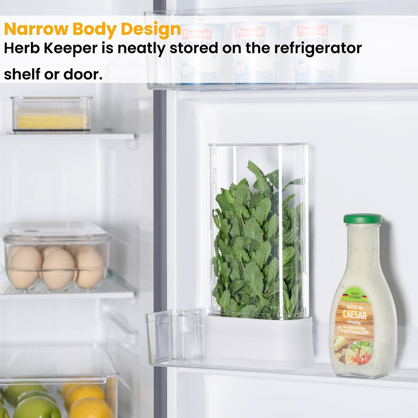 Herb Keeper for Refrigerator, Fresh Herb Saver Herb Storage Containers, Cilantro Container for Fridge Asparagus Container, Dishwasher Safe