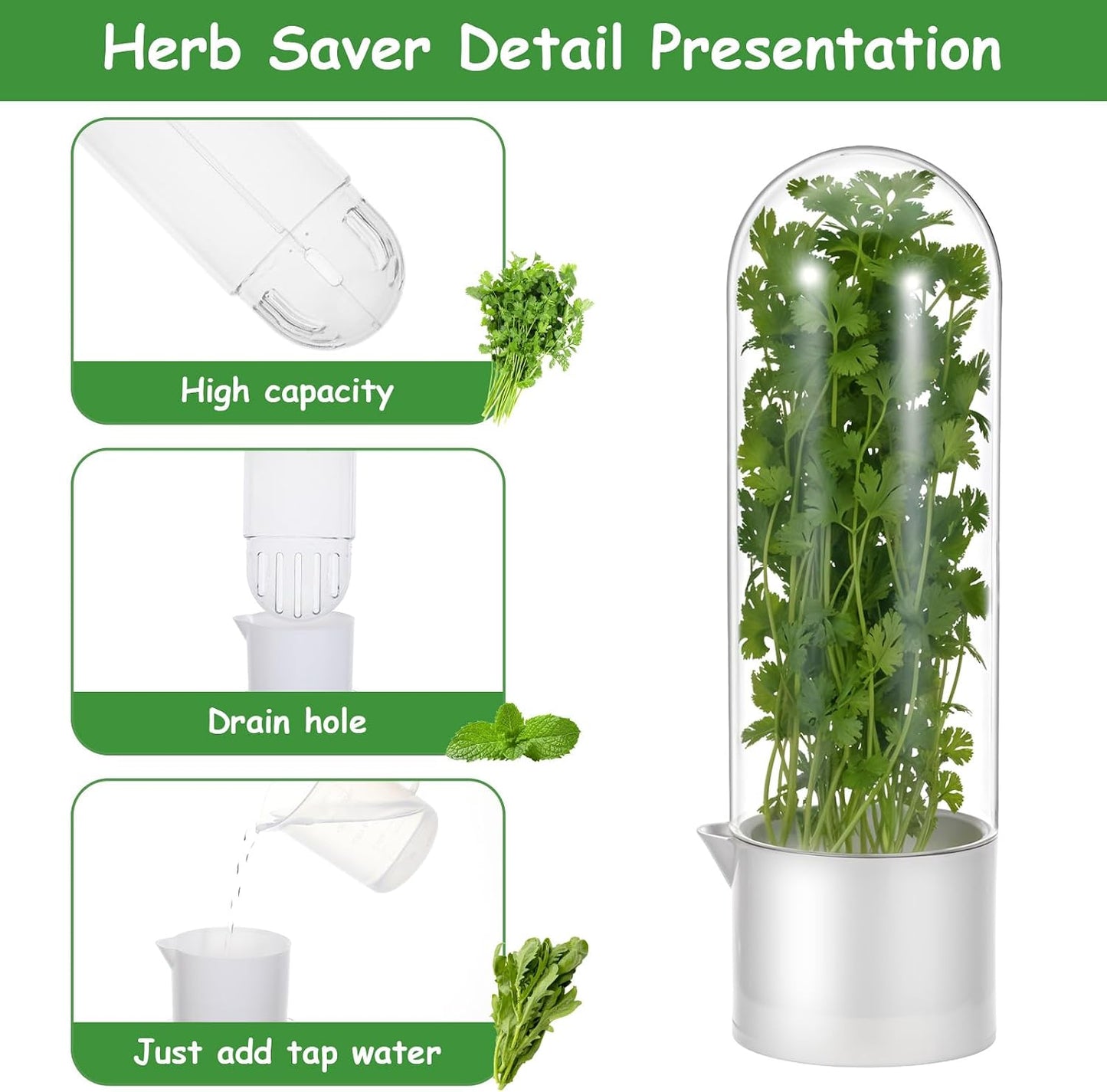 3PCS Herb Saver for Refrigerator, Fresh Herbs Lettuce Keeper for Refrigerator, Cilantro Container for Fridge Fres Parsley Mint Leaves Fresh Herb Keeper for Fresh for 2-3 Weeks