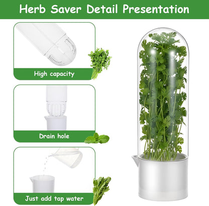 3PCS Herb Saver for Refrigerator, Fresh Herbs Lettuce Keeper for Refrigerator, Cilantro Container for Fridge Fres Parsley Mint Leaves Fresh Herb Keeper for Fresh for 2-3 Weeks