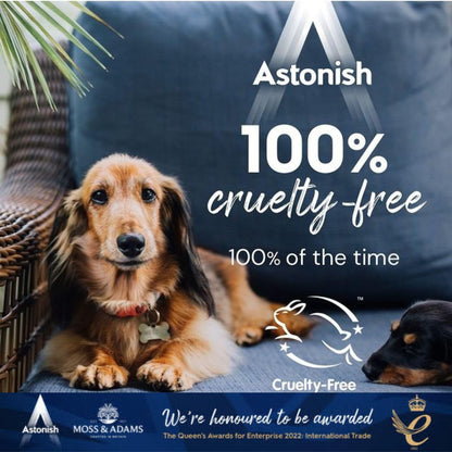 Astonish Oven & Cookware Cleaning Paste, Grease Remover 5.3oz Tub