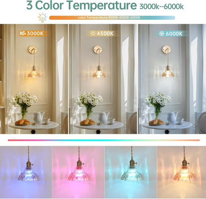 Shenmoyl Battery Operated Wall Sconce Wall Lamp with Green Lily of the Valley Shade Pattern Glass Adjustable Chain Retro Gold Wall Mounted Light, Modern Wall Lamp Fixtures Decor for Bedside Bedroom
