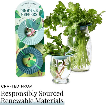Modern Sprout Eco-Friendly Produce Keeper for Fresh Herbs & Greens - 2 Pack | BPA-Free, Sustainable Materials - Extends Freshness Up to 2 Weeks - Gift for Plant Lovers and Home Chefs