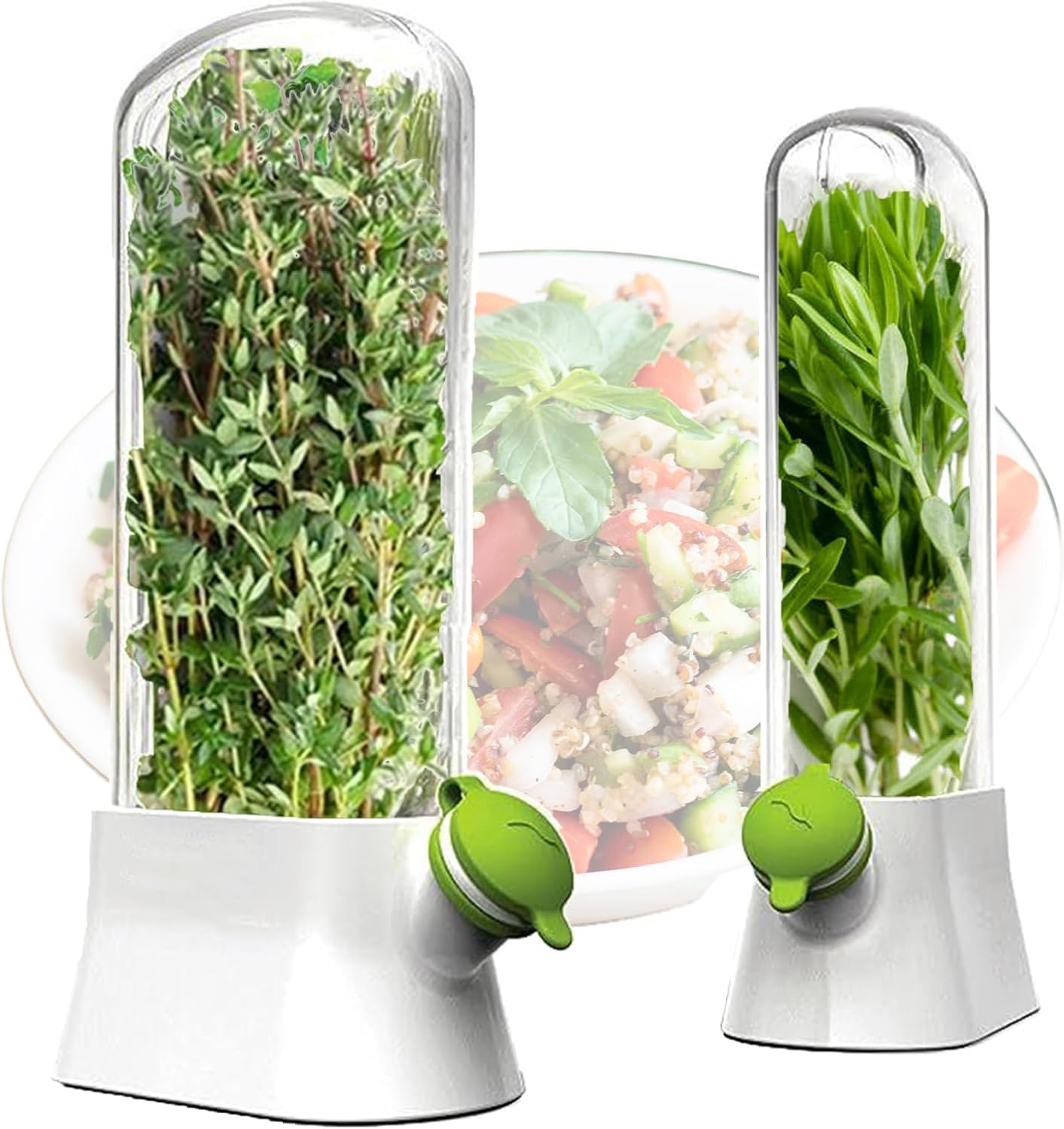 Herb Storage containers for Refrigerator.Herb Saver for Refrigerator, Fresh Herb Keeper for Cilantro,Parsley, Asparagus, Mint, Keeps Vegetables for 2-3 Weeks