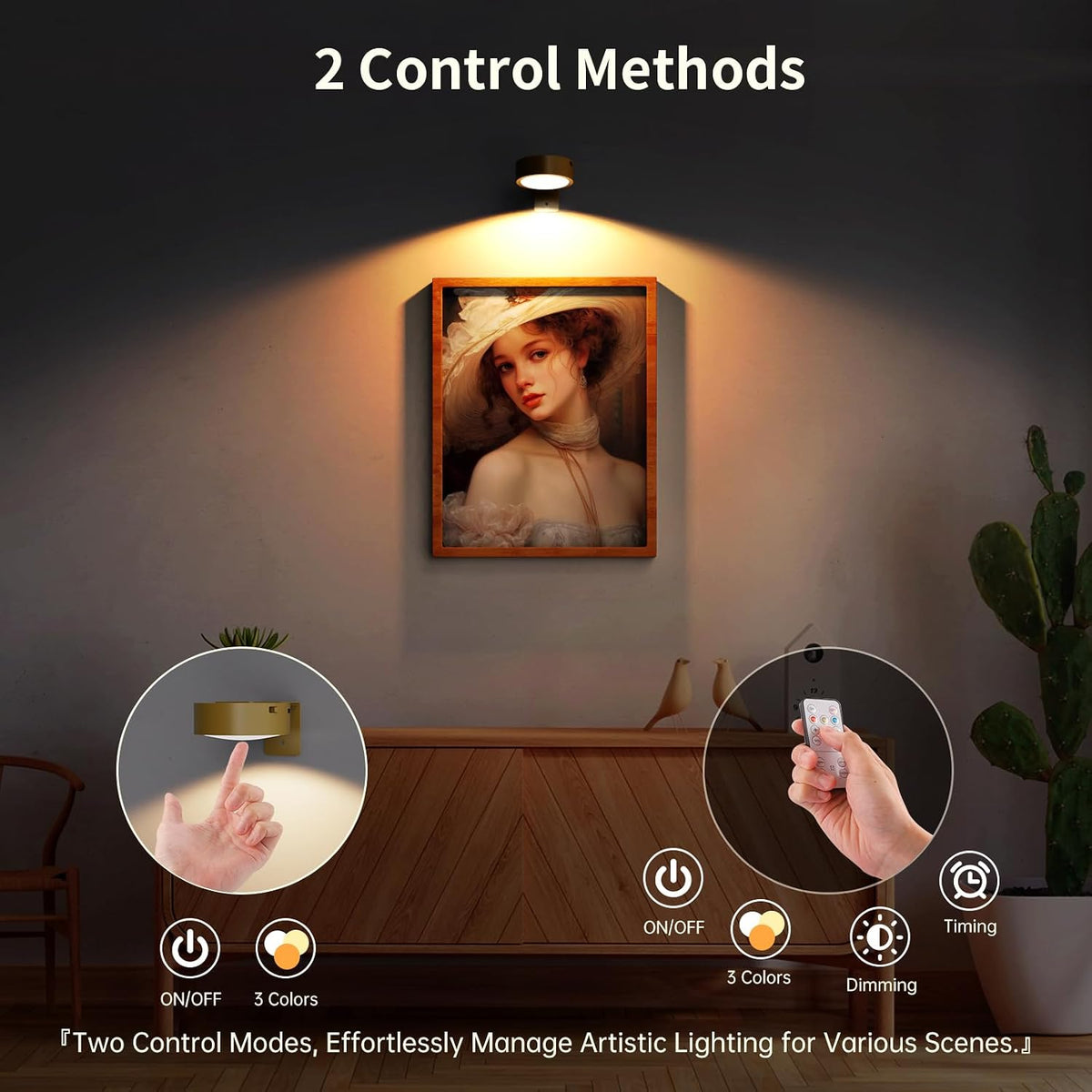 Picture Lights for Wall, Rechargeable Battery Operated wall lights, Picture Frame lights with Lighting Modes, Wireless Magnetic Painting Light with Remote Control Timer (White)