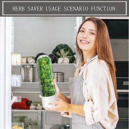 Herb Saver for Refrigerator, Cilantro Container for Fridge, Fresh Herbs Lettuce Keeper for Refrigerator Parsley Mint Leaves Fresh Herb Keeper, Refrigerato Storage for Fresh for 2-3 Weeks