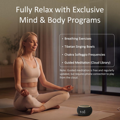 Hotmoon Luna Pro Smart Sound Machine, 507 Sounds, Dual-Stage Alarm, Plug in