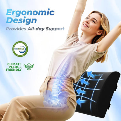 Lumbar Support Pillow, Ergonomic Back Cushion for Office Chair, Black/Large