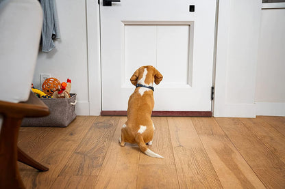 BKSAI Door Draft Stopper for Doors 29-35" No Adhesive Draft Stopper for Bottom of Door Draught Excluder Under Door Wind Blocker Reduce Noise Draught Excluder Sweep Sound Proof(Black) | No Adhesive, For Bottom of Door, Wind Blocker, Reduce Noise, Sound