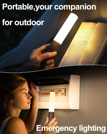 iThird Motion Sensor Light Indoor, 2200mAh Rechargeable Wall Sconce