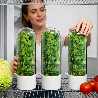 2 Pack Herb Keeper for Refrigerator, Clear BPA-Free Fresh Herb Saver | BPA-Free, Fridge Storage Container, For Cilantro, Parsley, Thyme, Mint & Asparagus, 2-3 Weeks Freshness