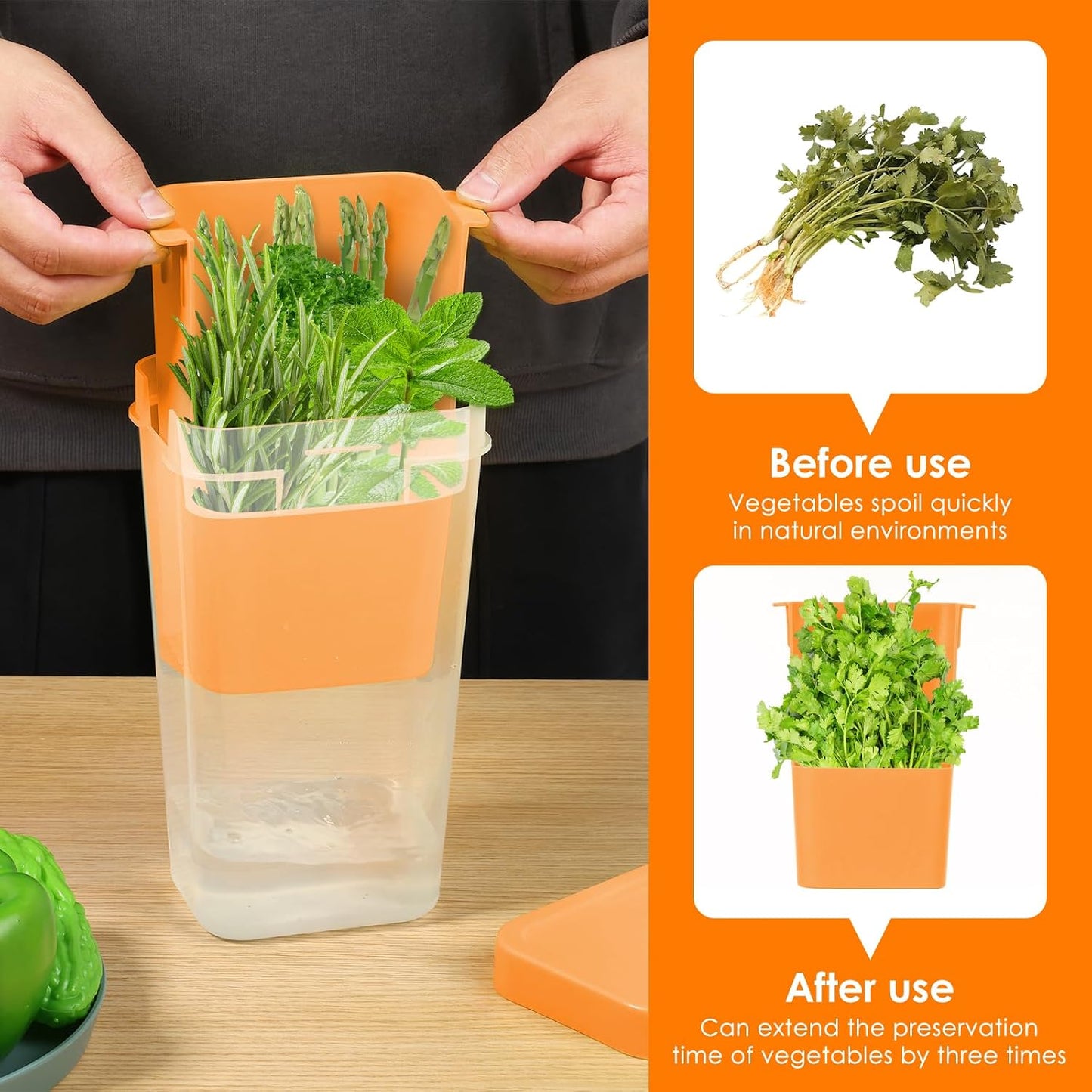 Fresh Herb Keeper for Refrigerator, 5.1x4.1x 9.06 in Clear Herb Saver, Fridge Asparagus Container, Fresh Herb Saver, Herb Storage Containers, for Cilantro, Parsley, Thyme, Asparagus(Green)