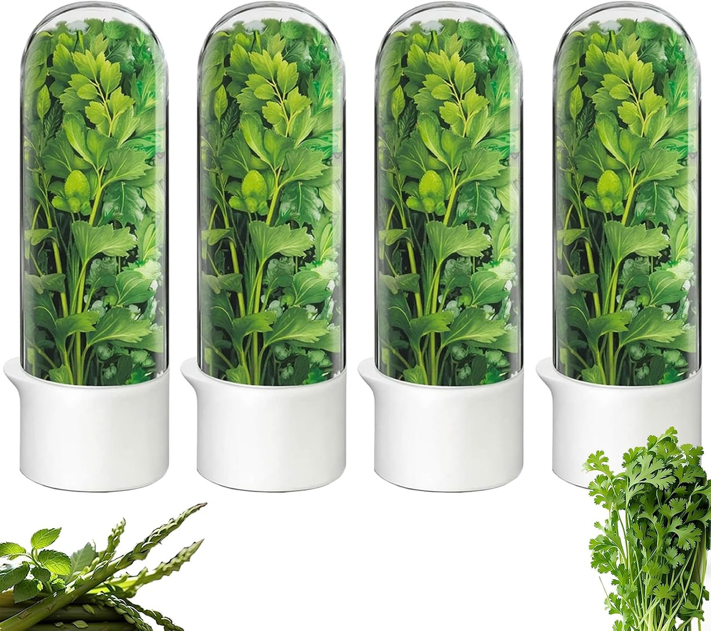 Herb Saver for Refrigerator, Cilantro Container for Fridge, Fresh Herbs Lettuce Keeper for Refrigerator Parsley Mint Leaves Fresh Herb Keeper, Refrigerato Storage for Fresh for 2-3 Weeks