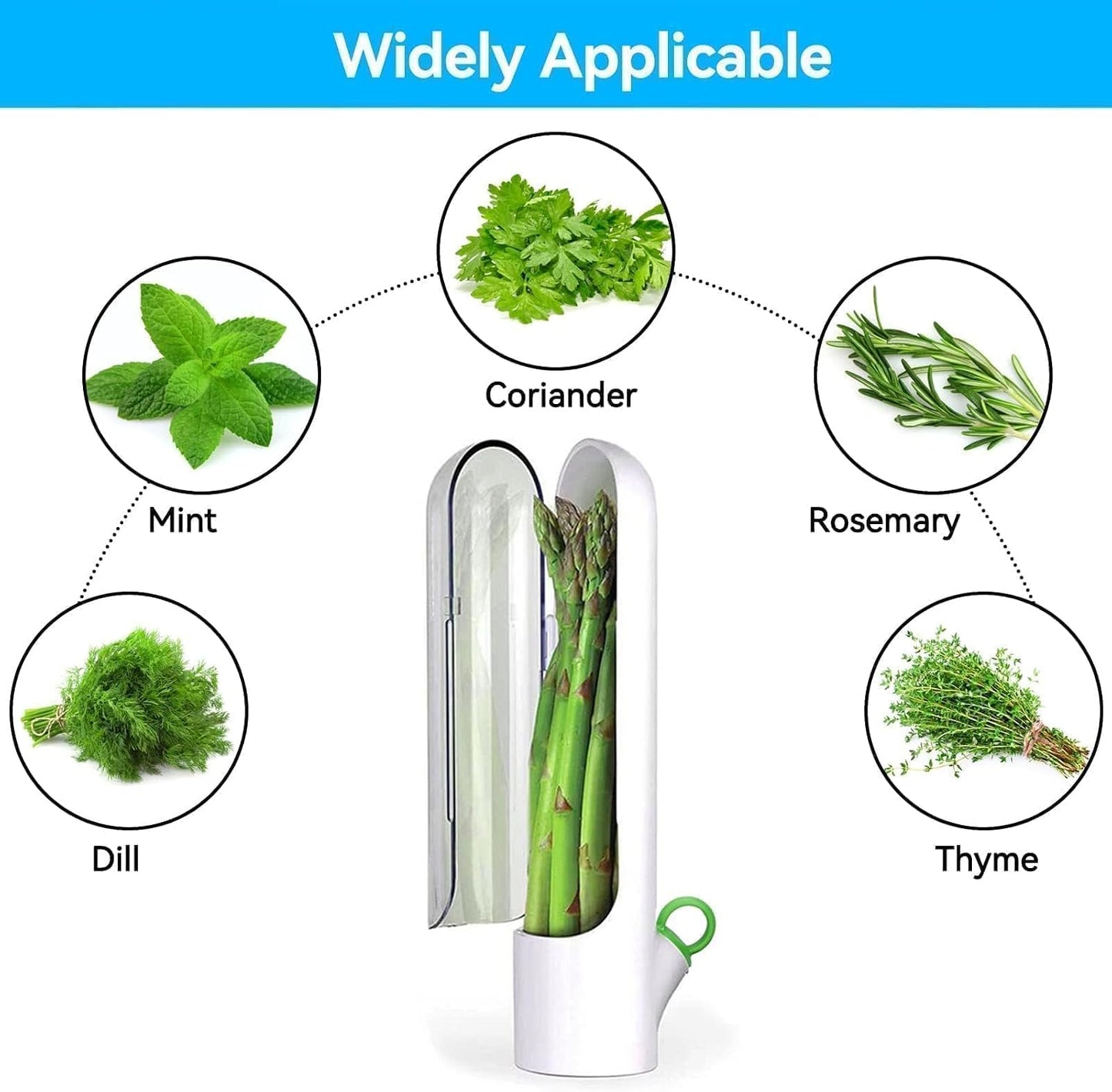 Fresh Herb Keeper for Refrigerator, 2PCS Cilantro Fresh Container Herb Savor Pod Herb Keeper and Herb Saver Fruit Containers Transparent Vegetable Preservation Bottle Kitchen Storage Cup for Cilantr