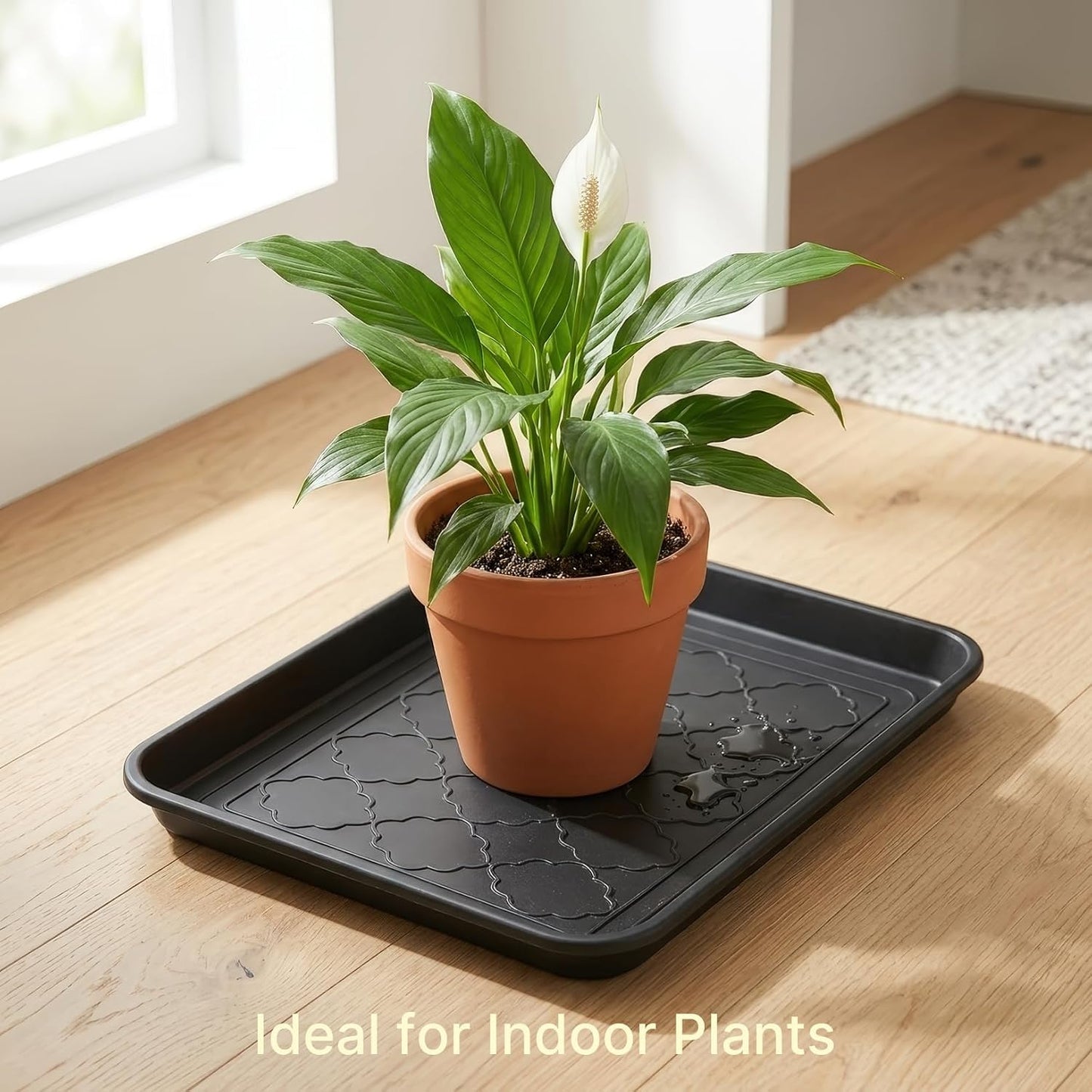 Kingrol 4-Pack Small Shoe Trays for Entryway Indoor, 16.5" x 12.6" Individual Boot Tray with Raised Lip, Waterproof Plastic Shoe Mat Tray for One Pair, Pet Bowls, Plants, Under Sink & Floor Protection